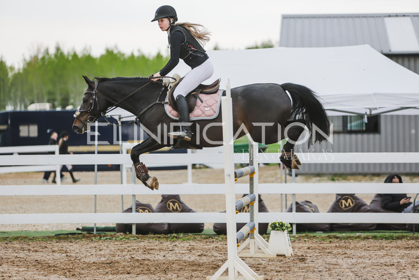 Gramina_Kevad_2026_115_056