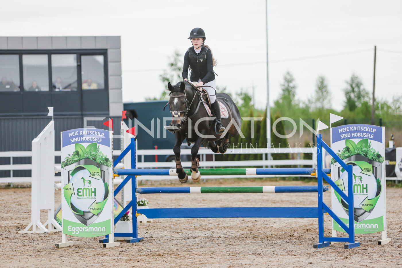 Gramina_Kevad_2026_115_067