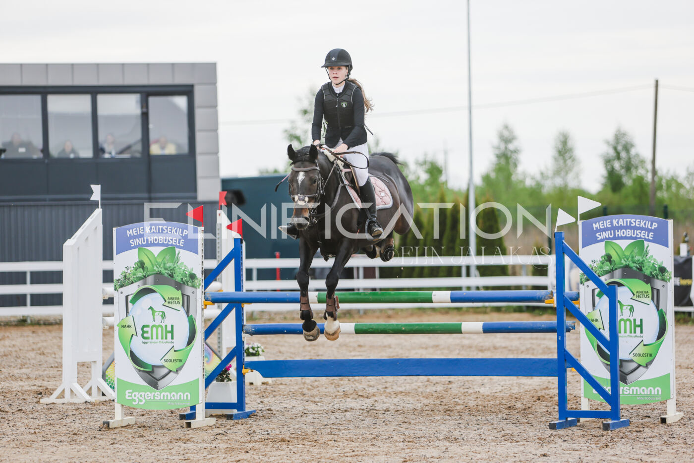 Gramina_Kevad_2026_115_068