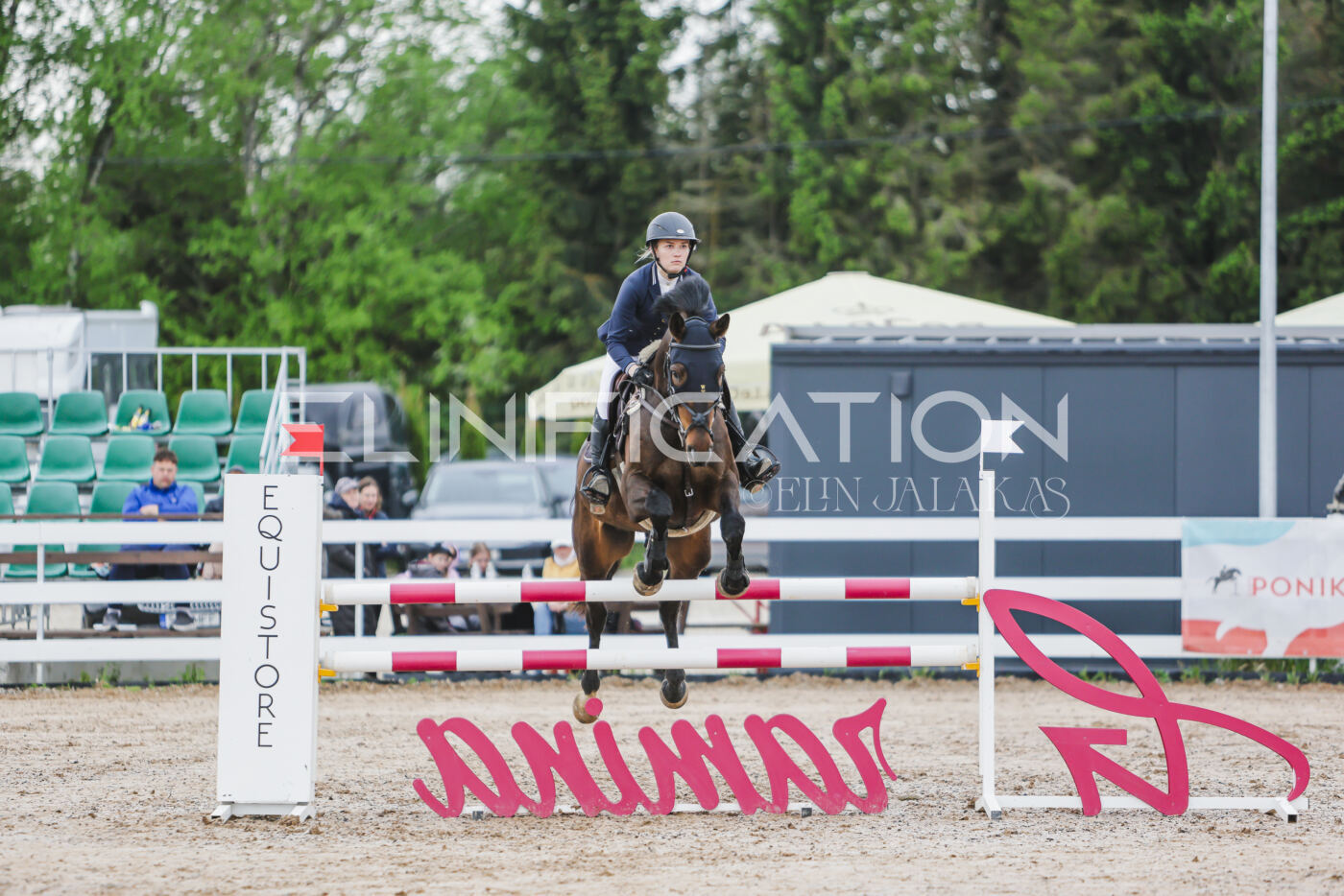 Gramina_Kevad_2026_115_070