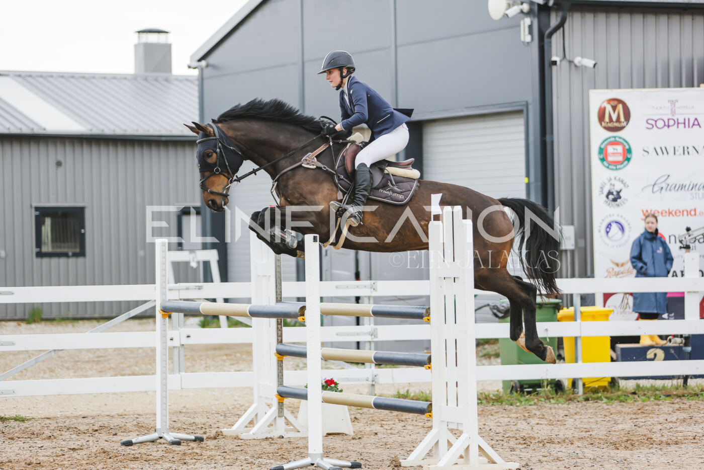 Gramina_Kevad_2026_115_073