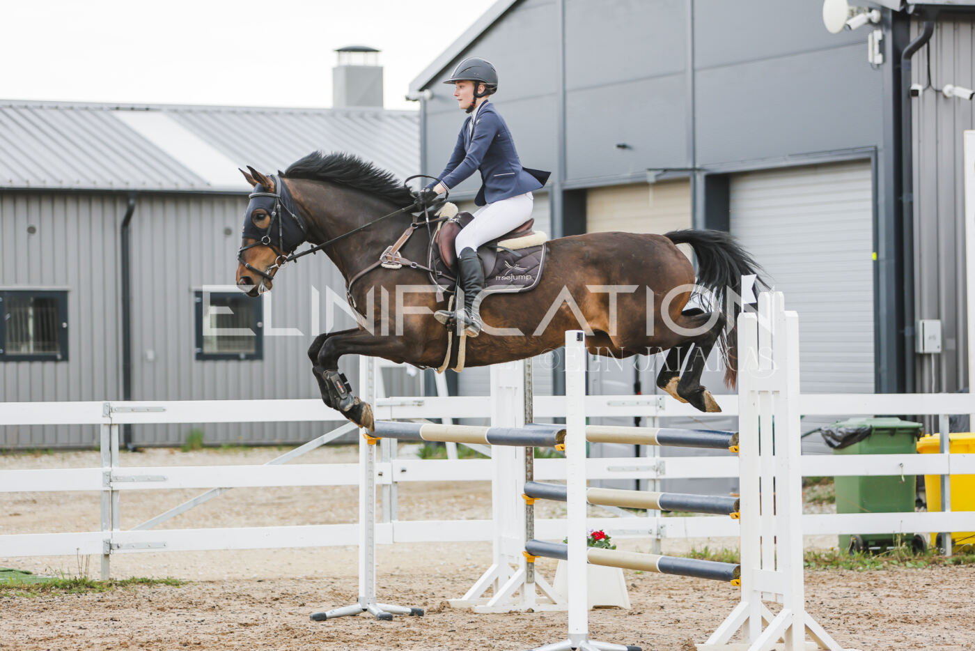Gramina_Kevad_2026_115_076