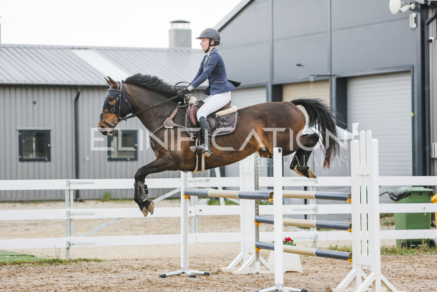 Gramina_Kevad_2026_115_077