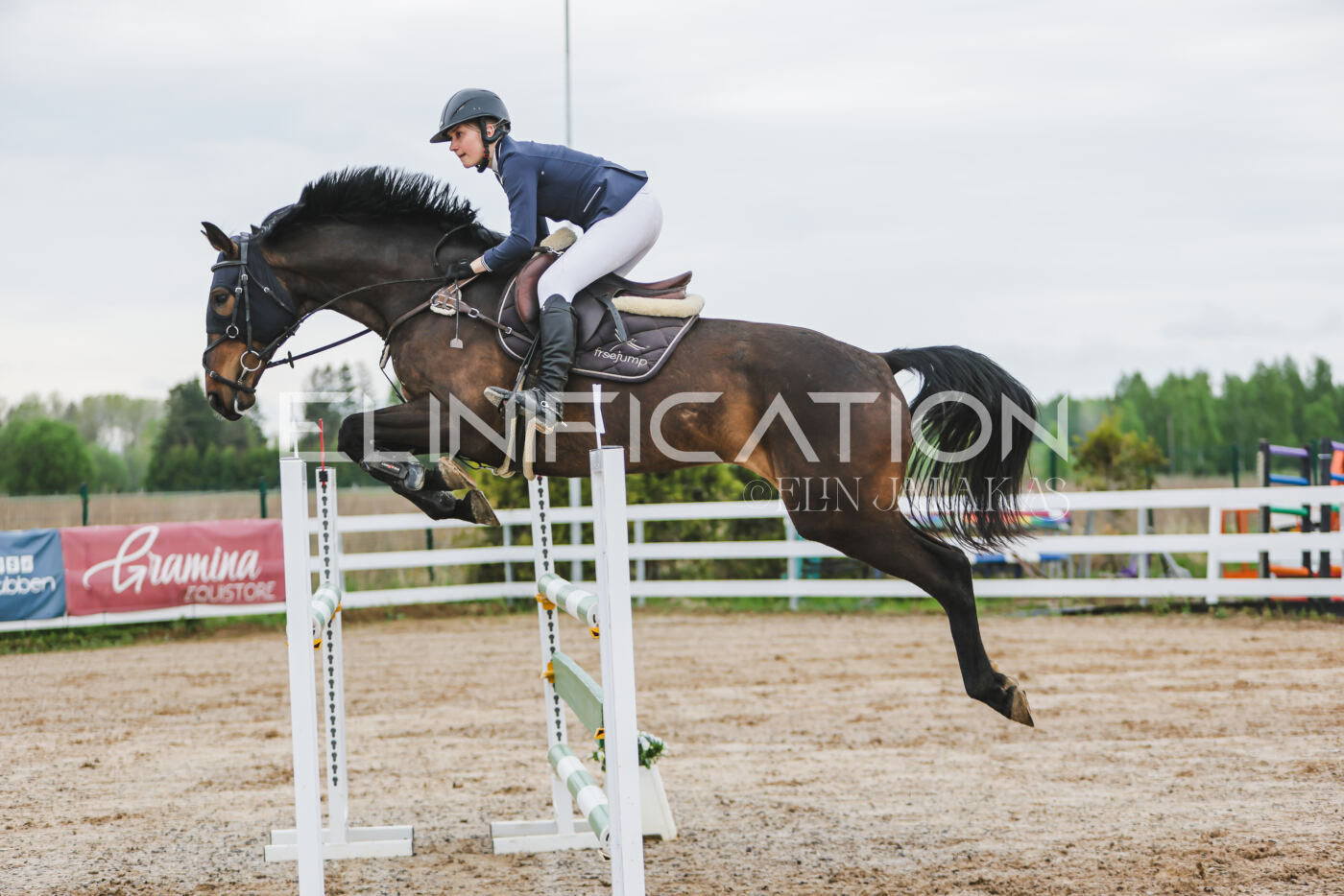 Gramina_Kevad_2026_115_082