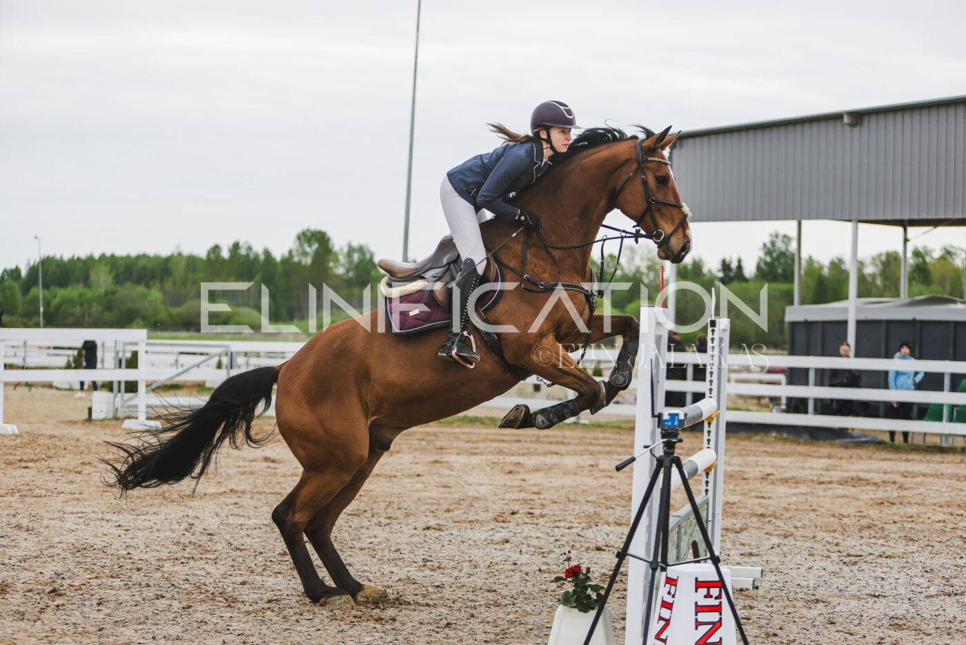 Gramina_Kevad_2026_115_084
