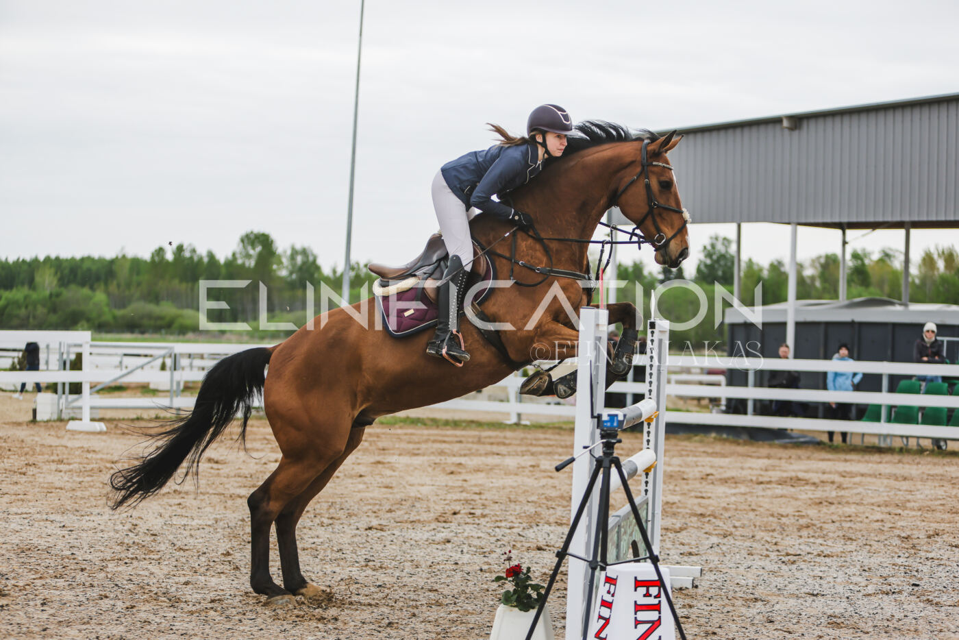 Gramina_Kevad_2026_115_085
