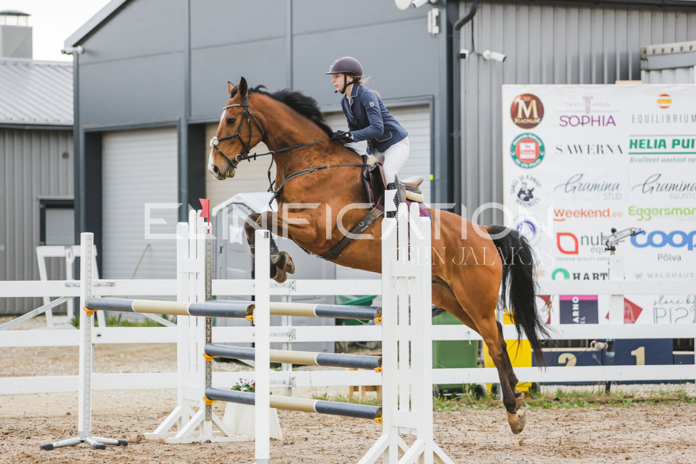 Gramina_Kevad_2026_115_090