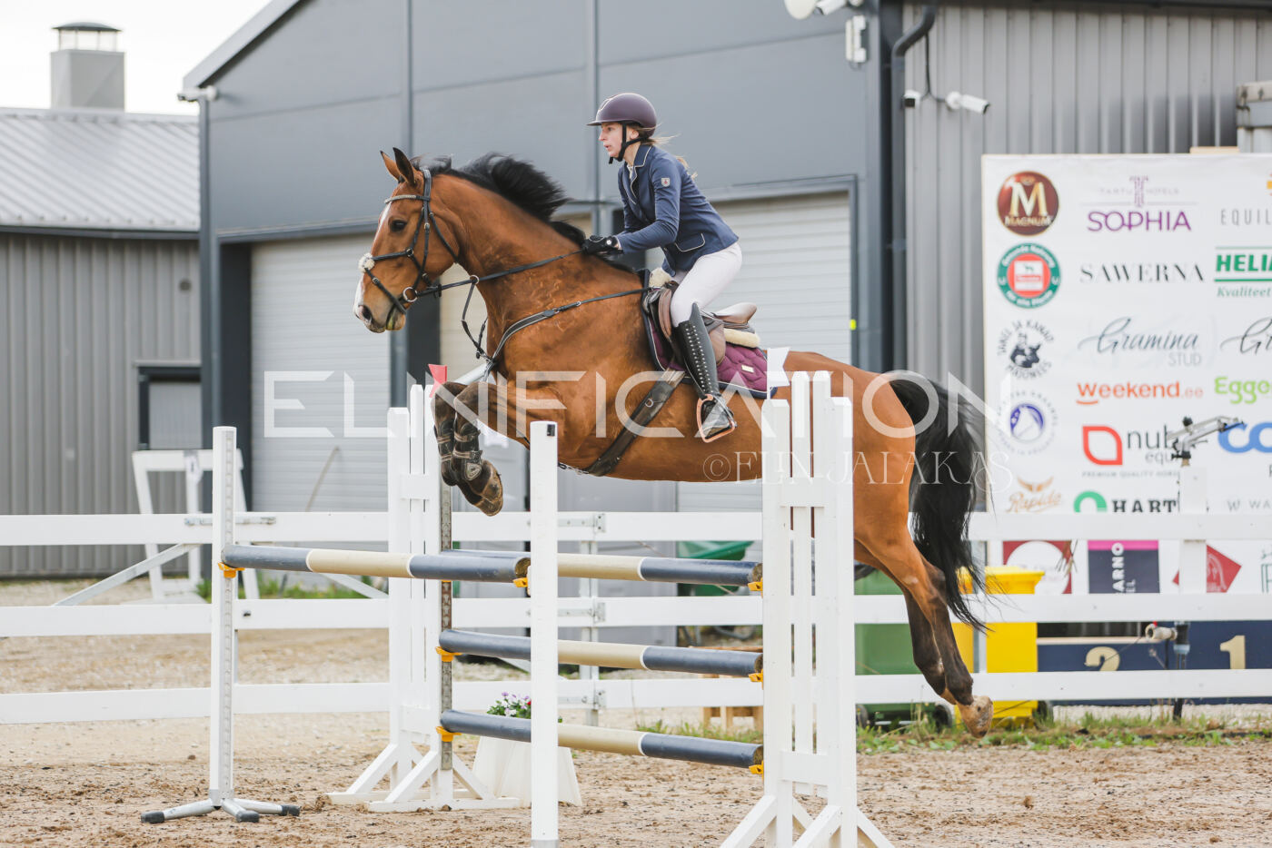 Gramina_Kevad_2026_115_091