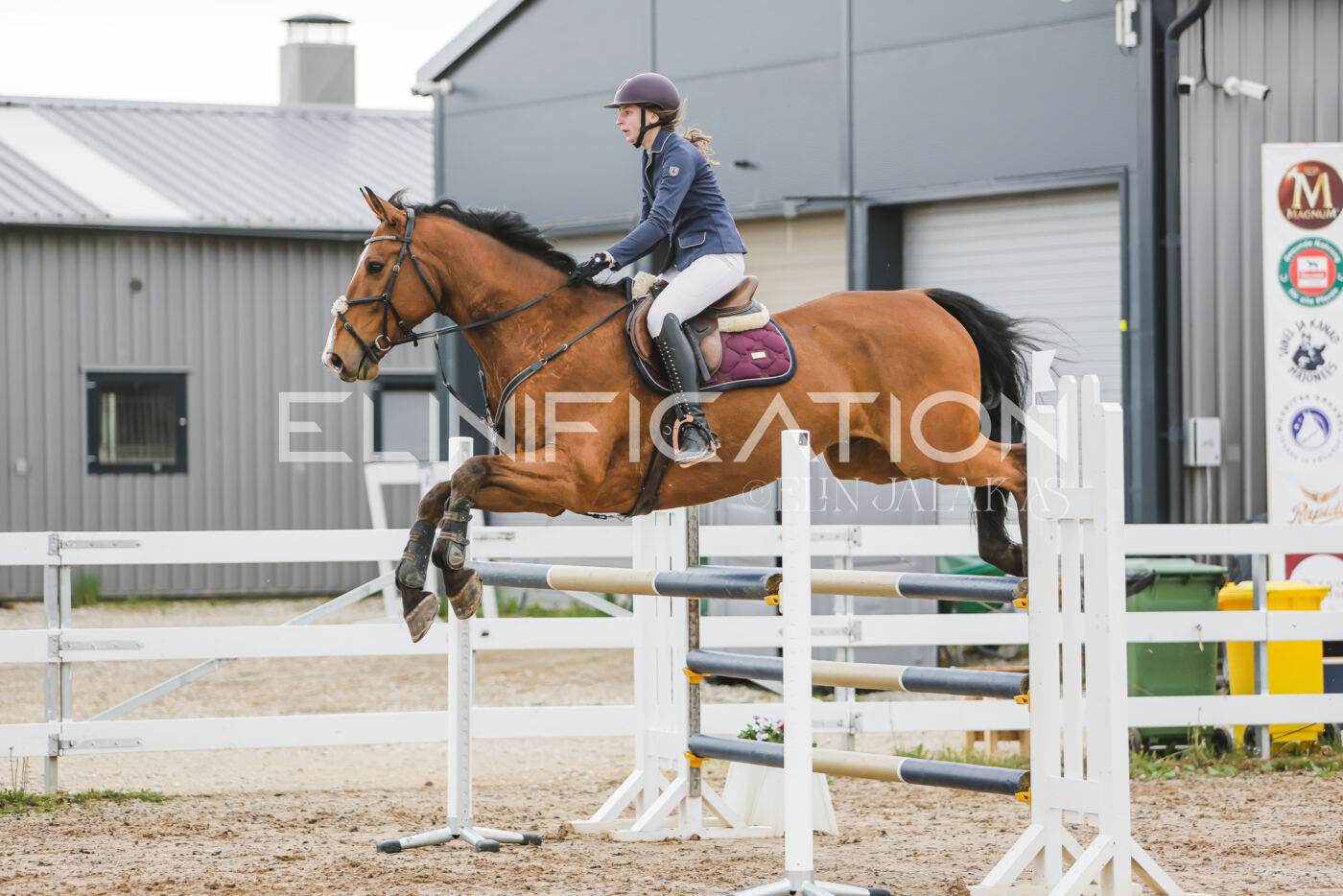 Gramina_Kevad_2026_115_094