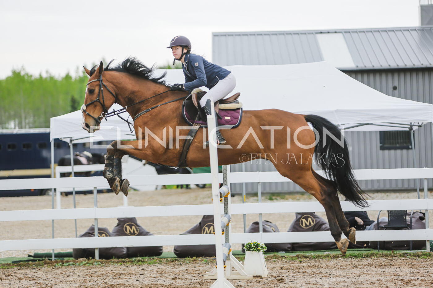 Gramina_Kevad_2026_115_096