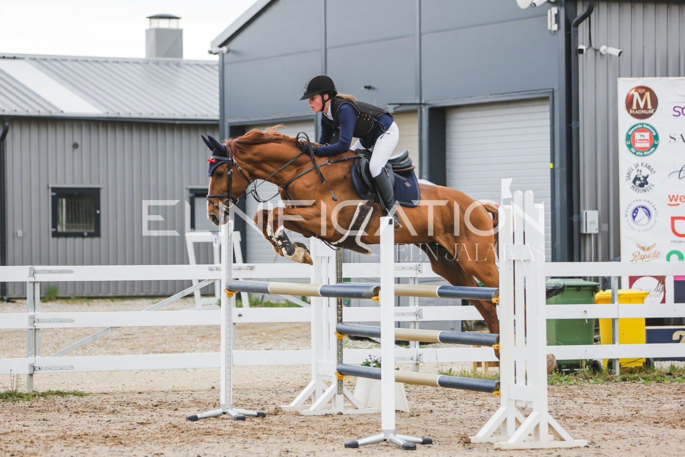 Gramina_Kevad_2026_115_105
