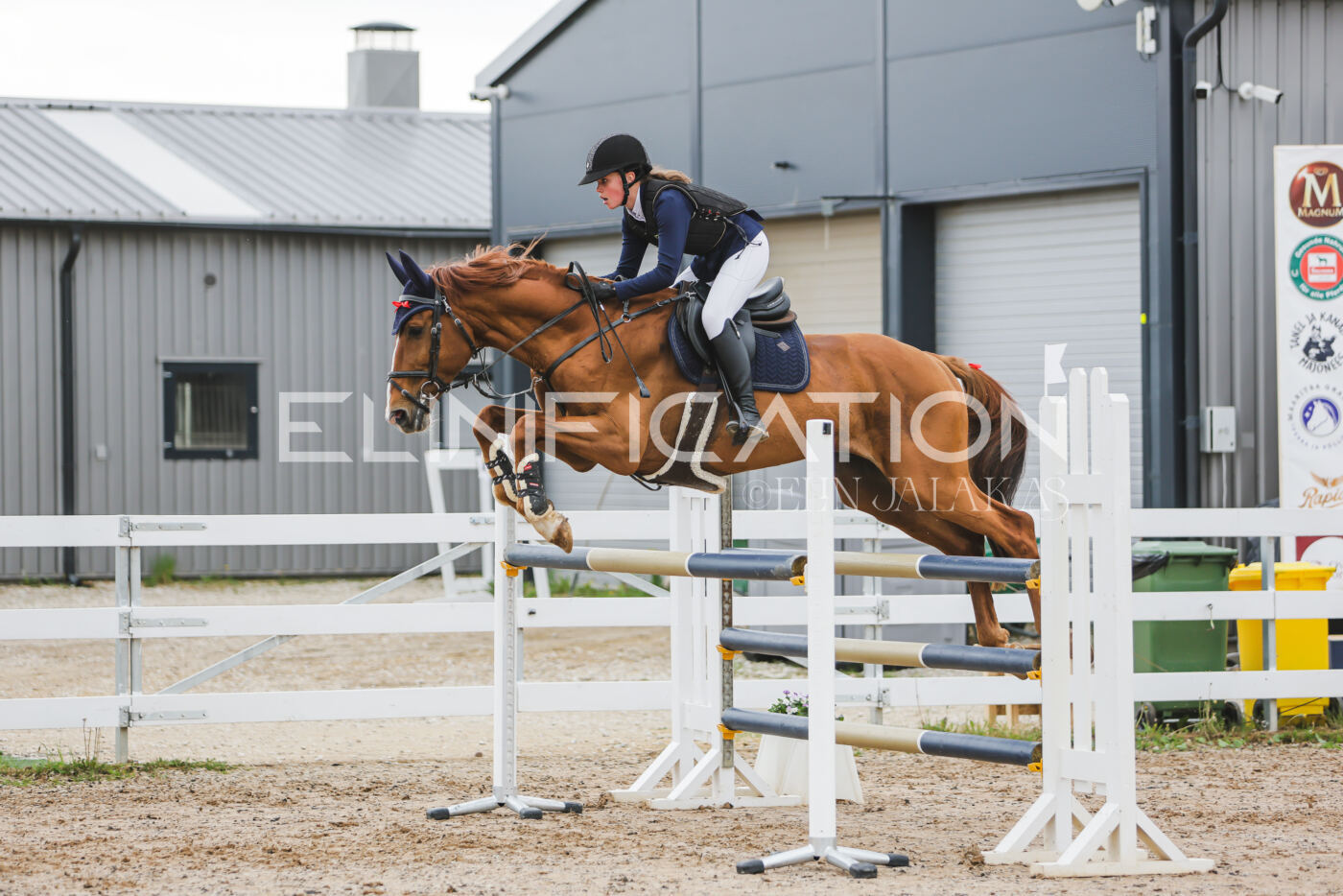 Gramina_Kevad_2026_115_106
