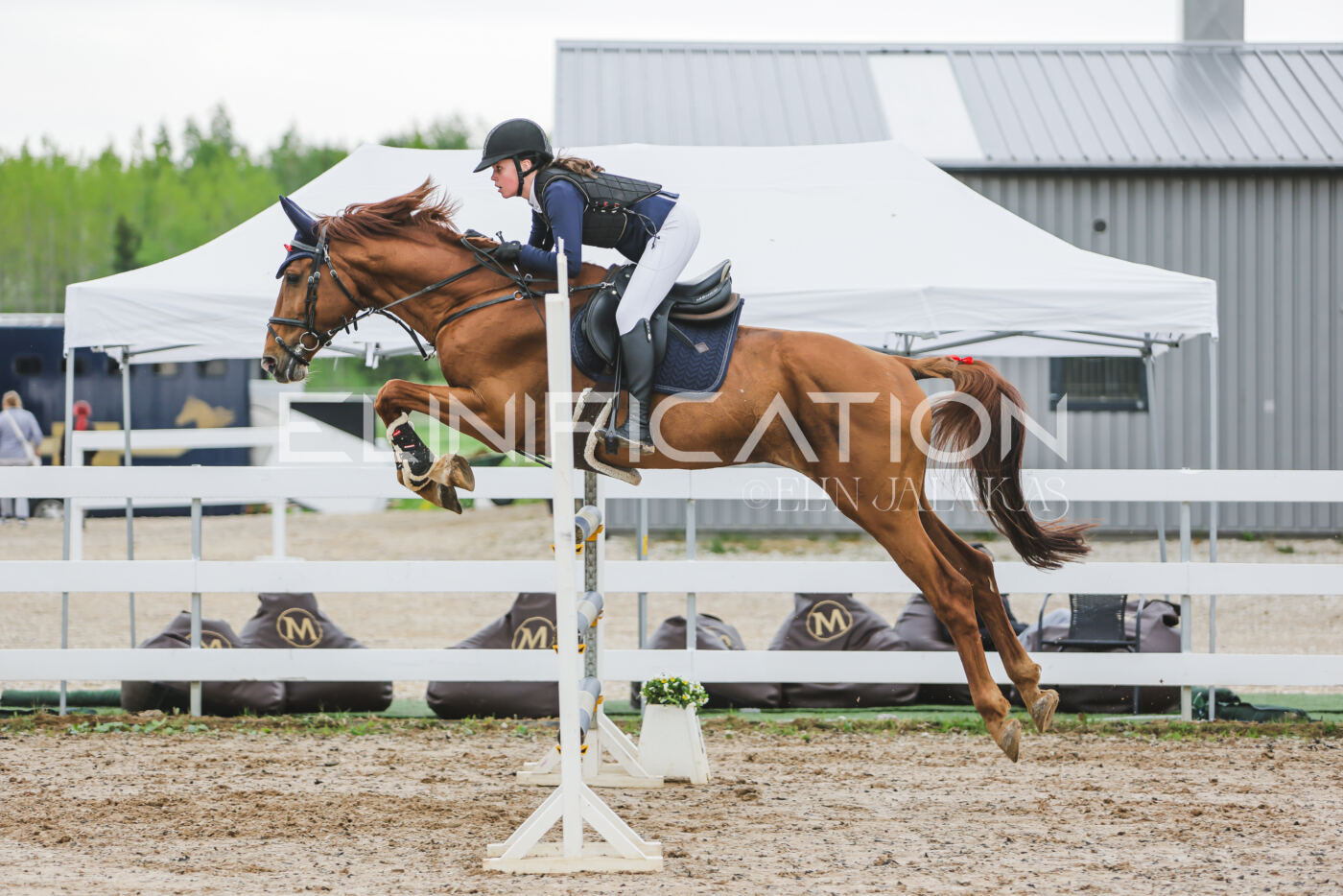 Gramina_Kevad_2026_115_111