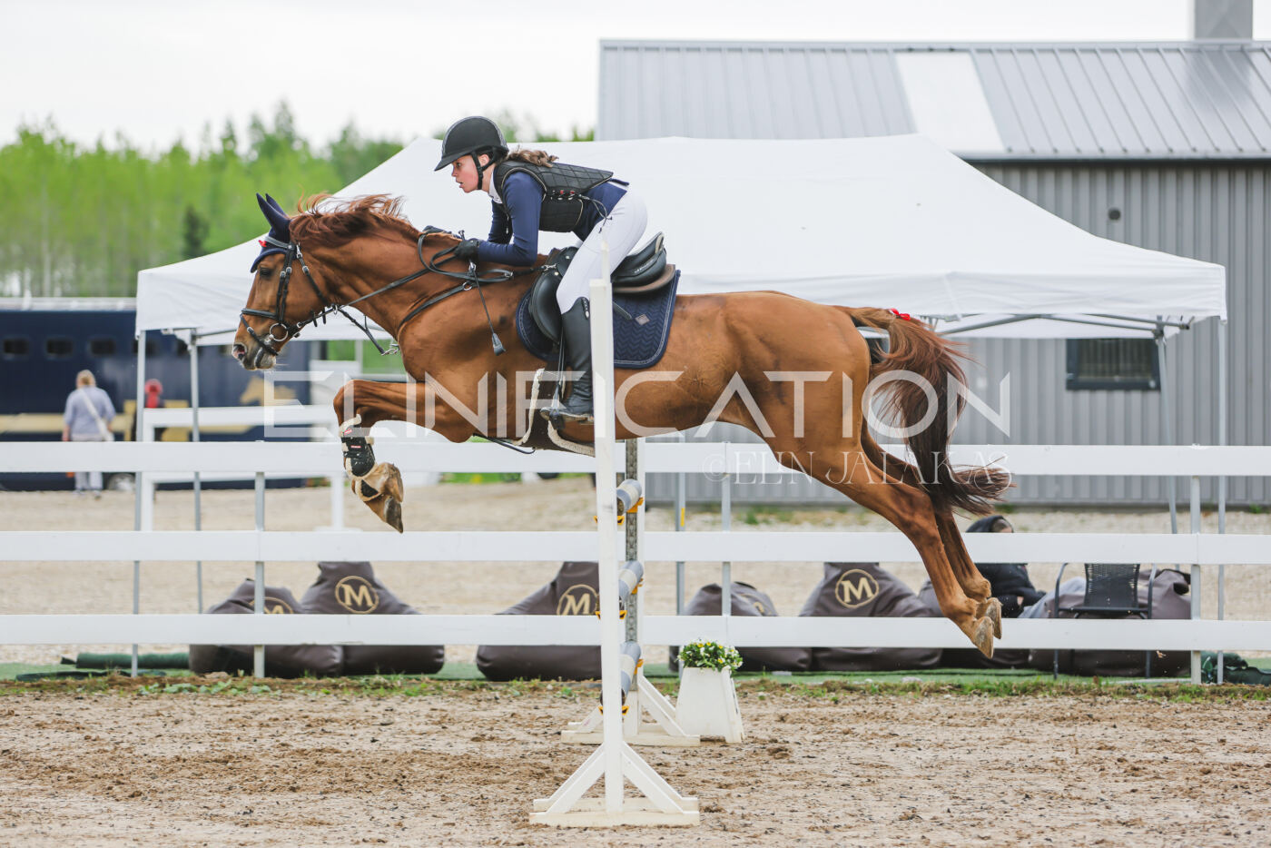 Gramina_Kevad_2026_115_112