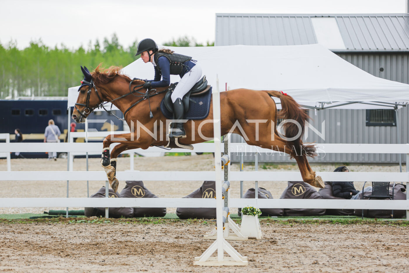Gramina_Kevad_2026_115_113