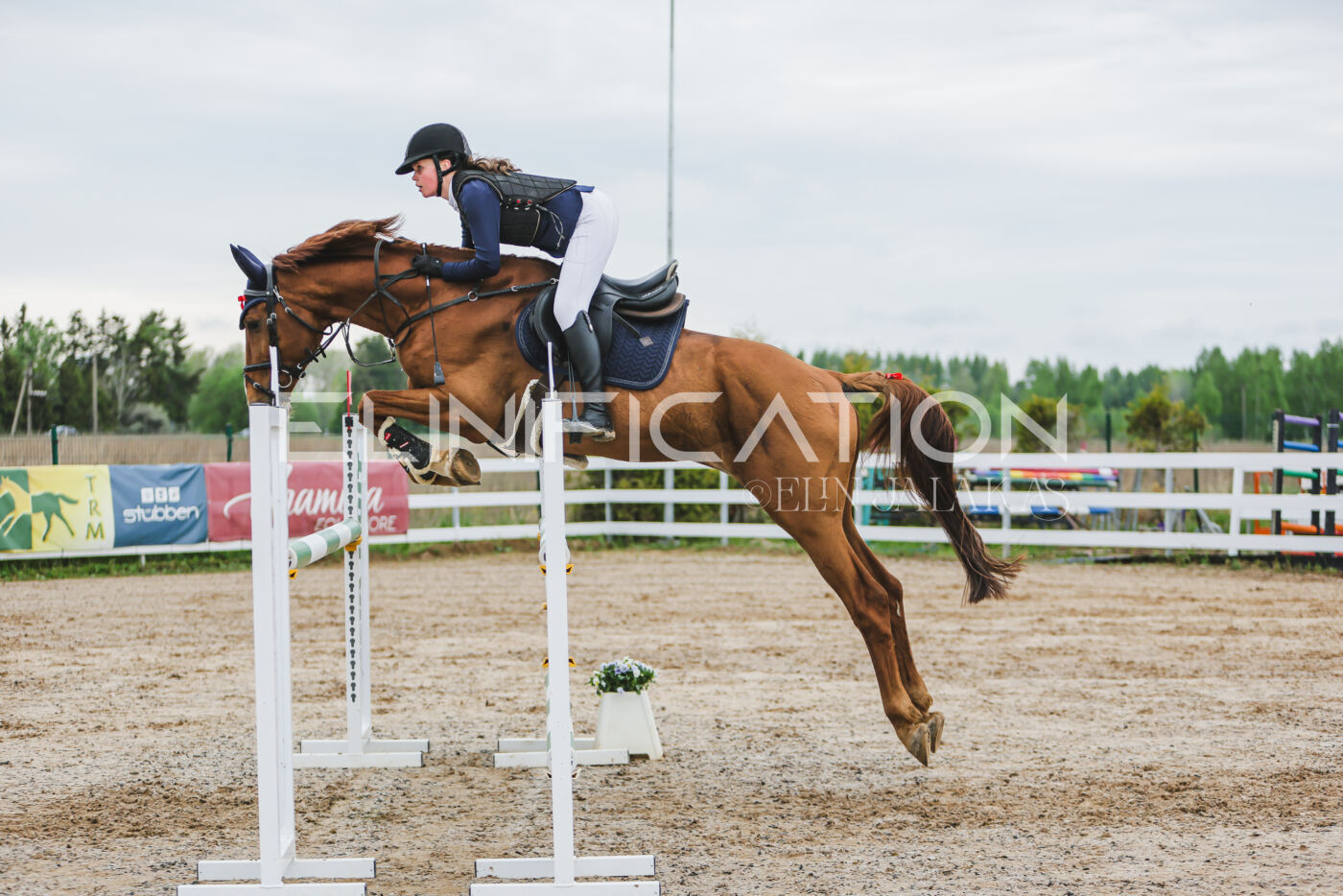 Gramina_Kevad_2026_115_114