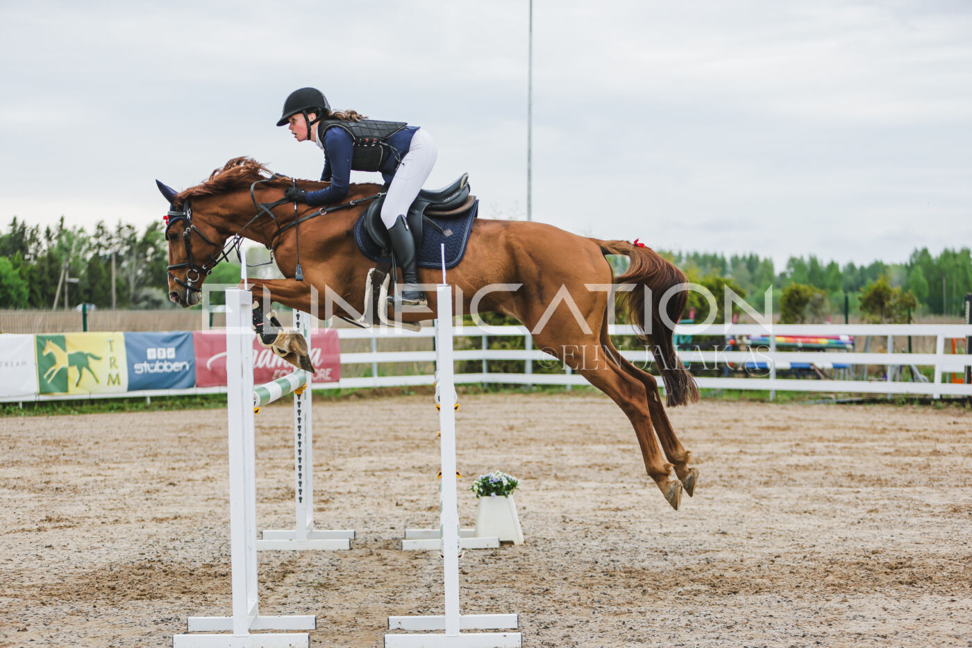 Gramina_Kevad_2026_115_115