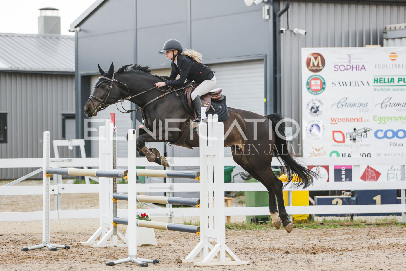 Gramina_Kevad_2026_115_141
