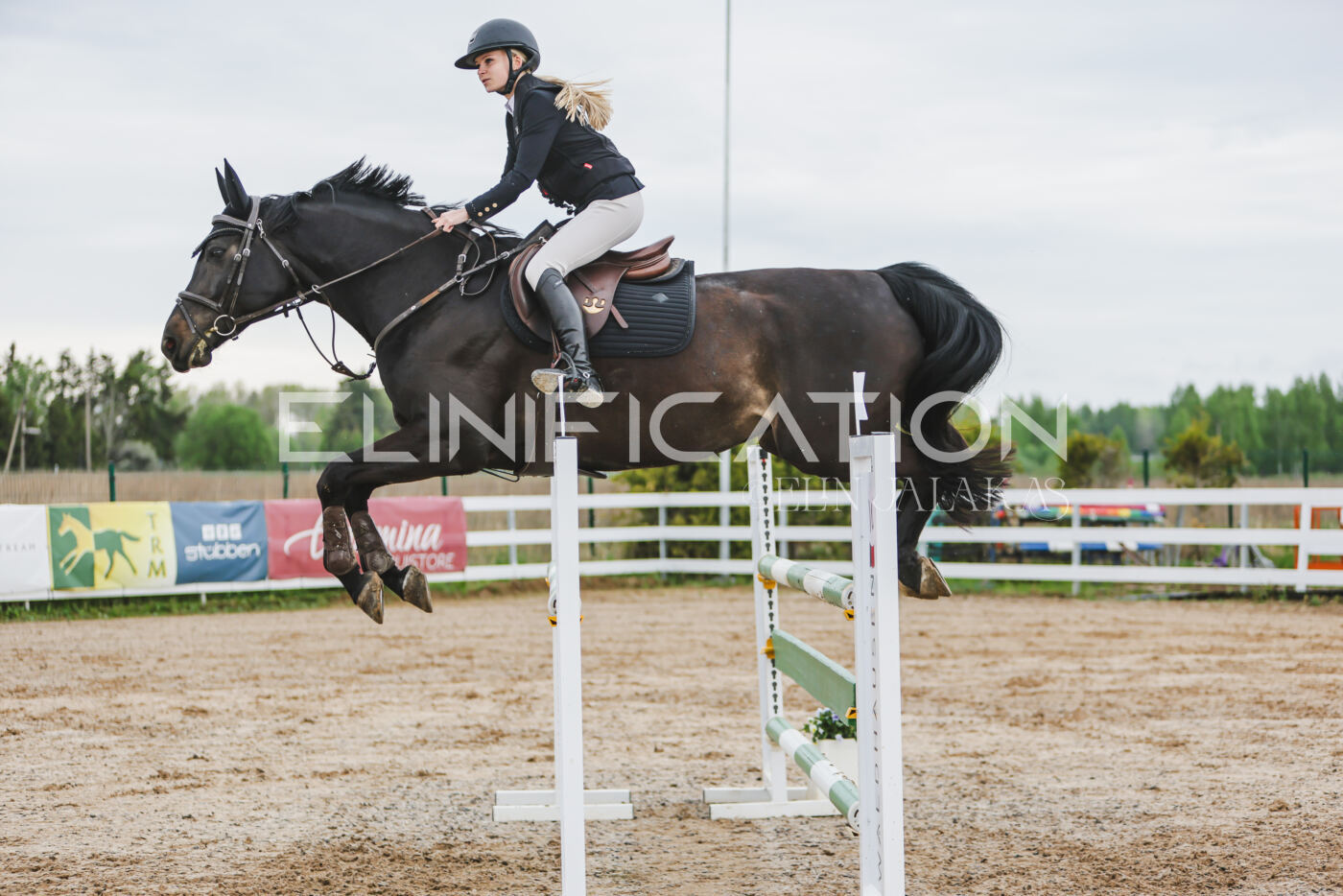 Gramina_Kevad_2026_115_153