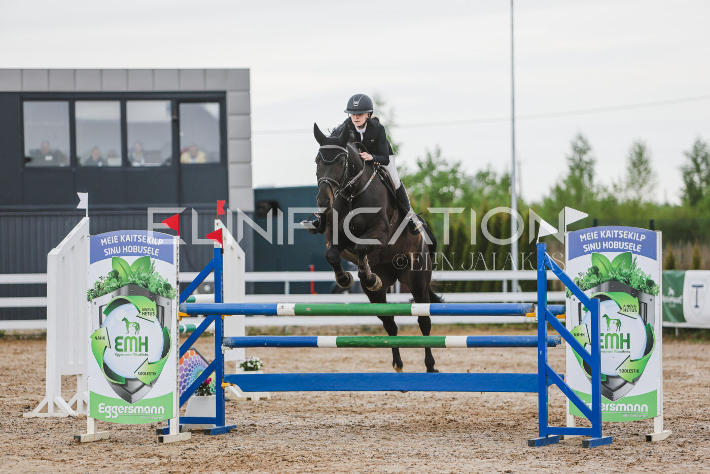 Gramina_Kevad_2026_115_155
