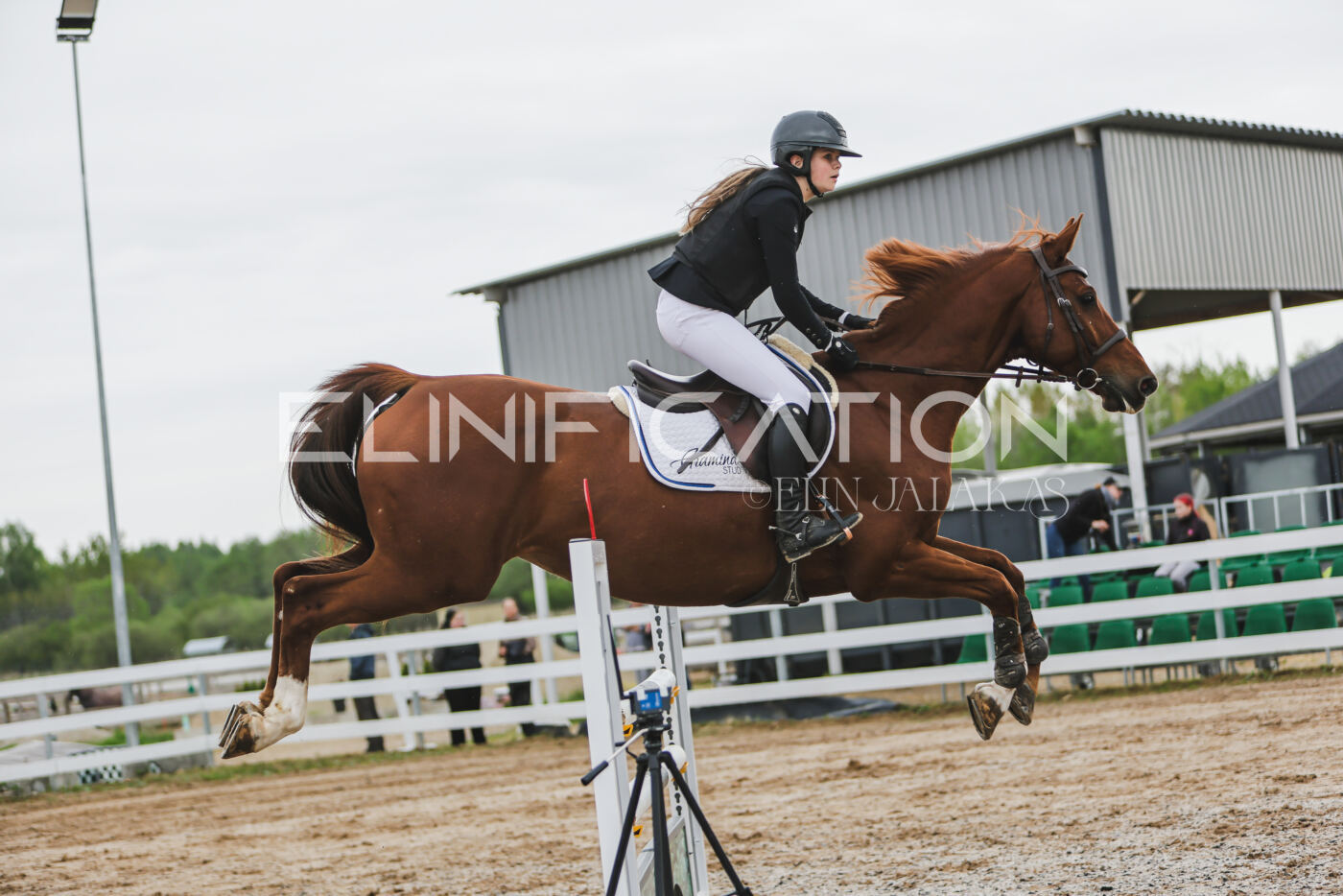 Gramina_Kevad_2026_115_164