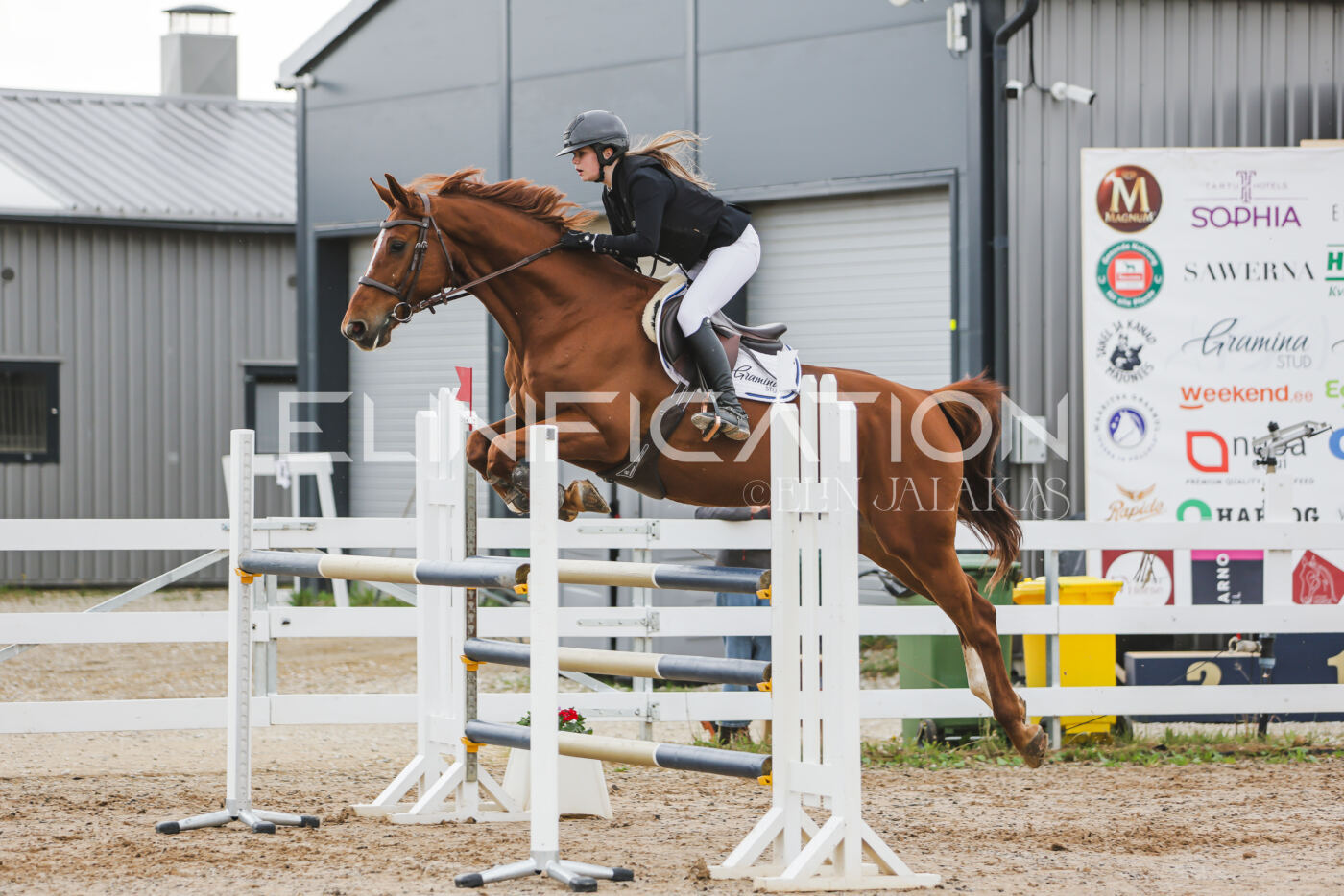 Gramina_Kevad_2026_115_165
