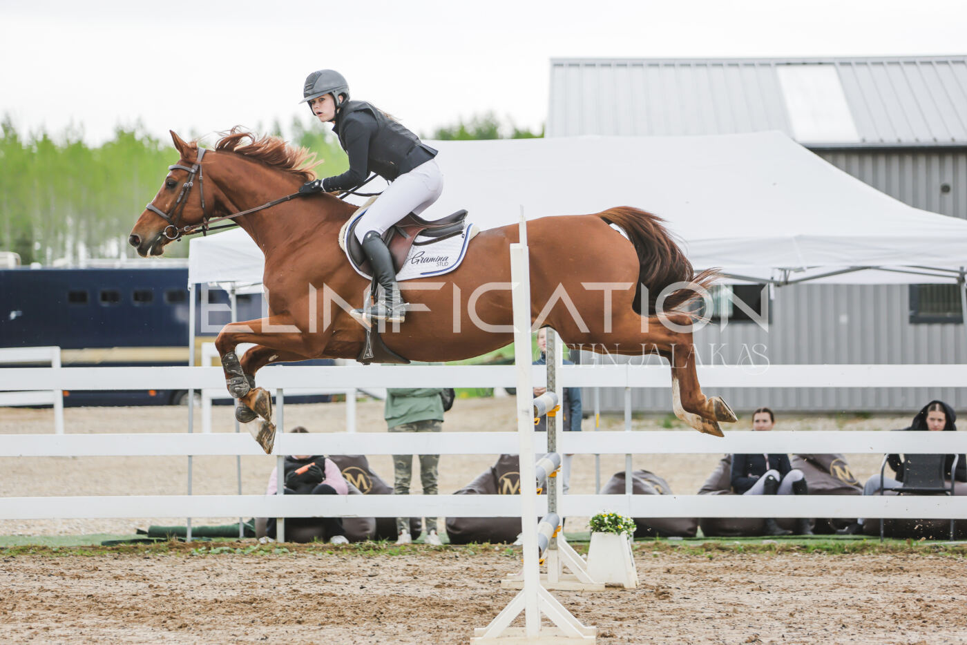 Gramina_Kevad_2026_115_168