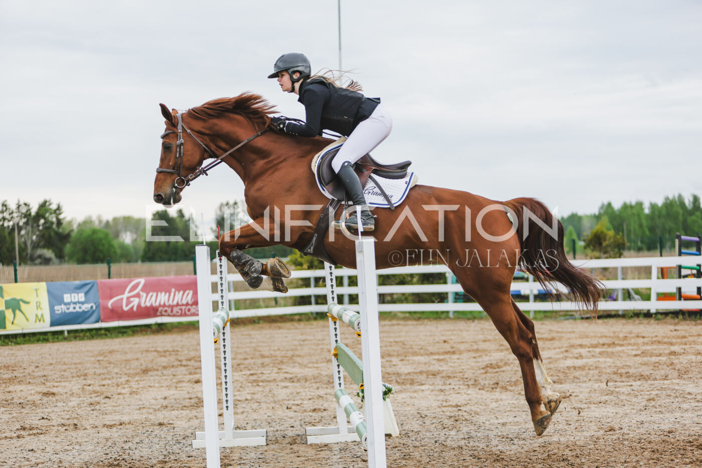 Gramina_Kevad_2026_115_169