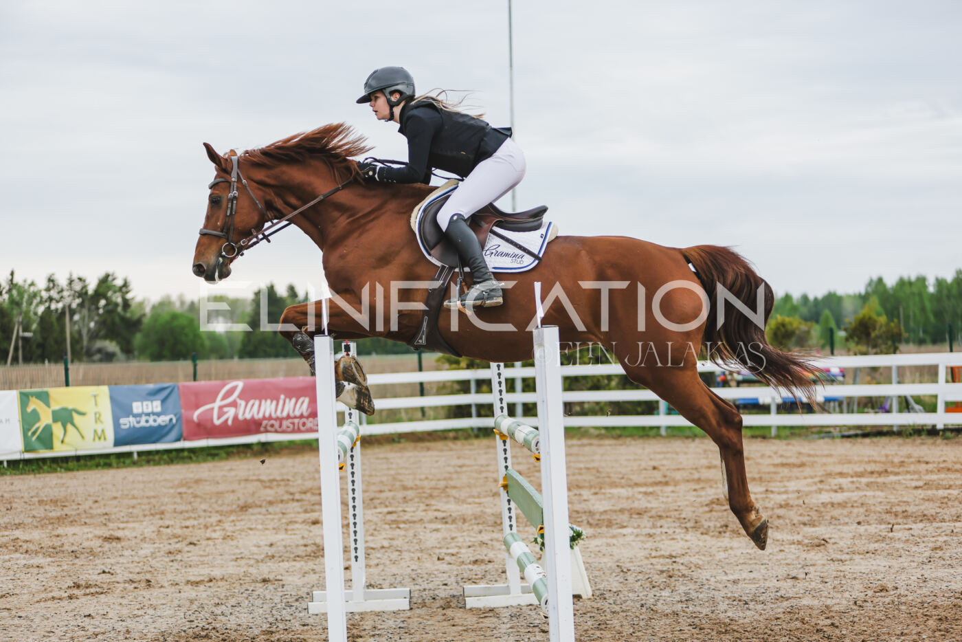 Gramina_Kevad_2026_115_170