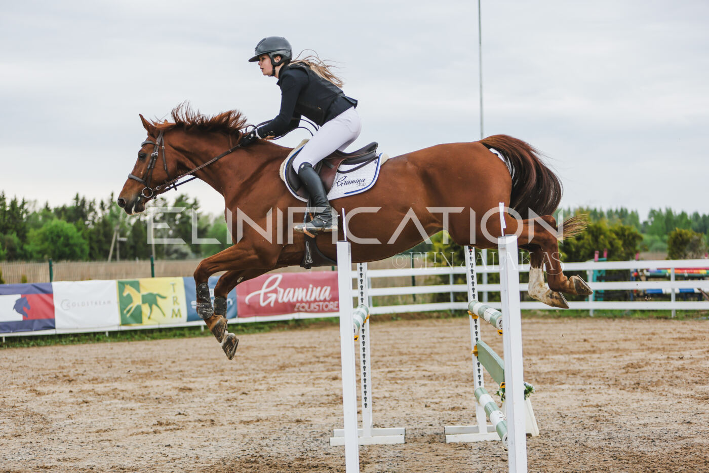 Gramina_Kevad_2026_115_173
