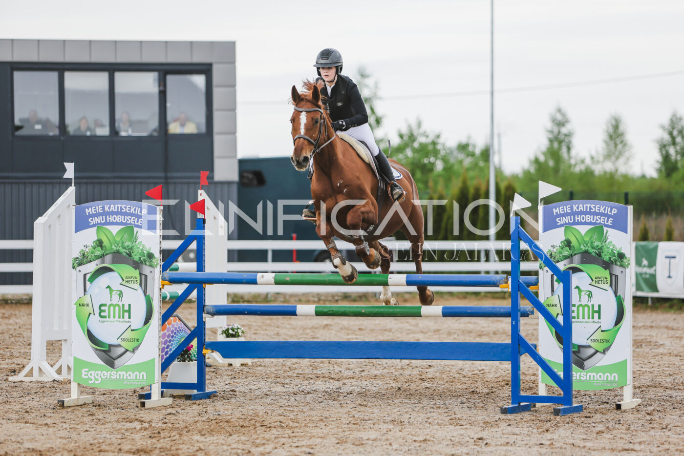 Gramina_Kevad_2026_115_175
