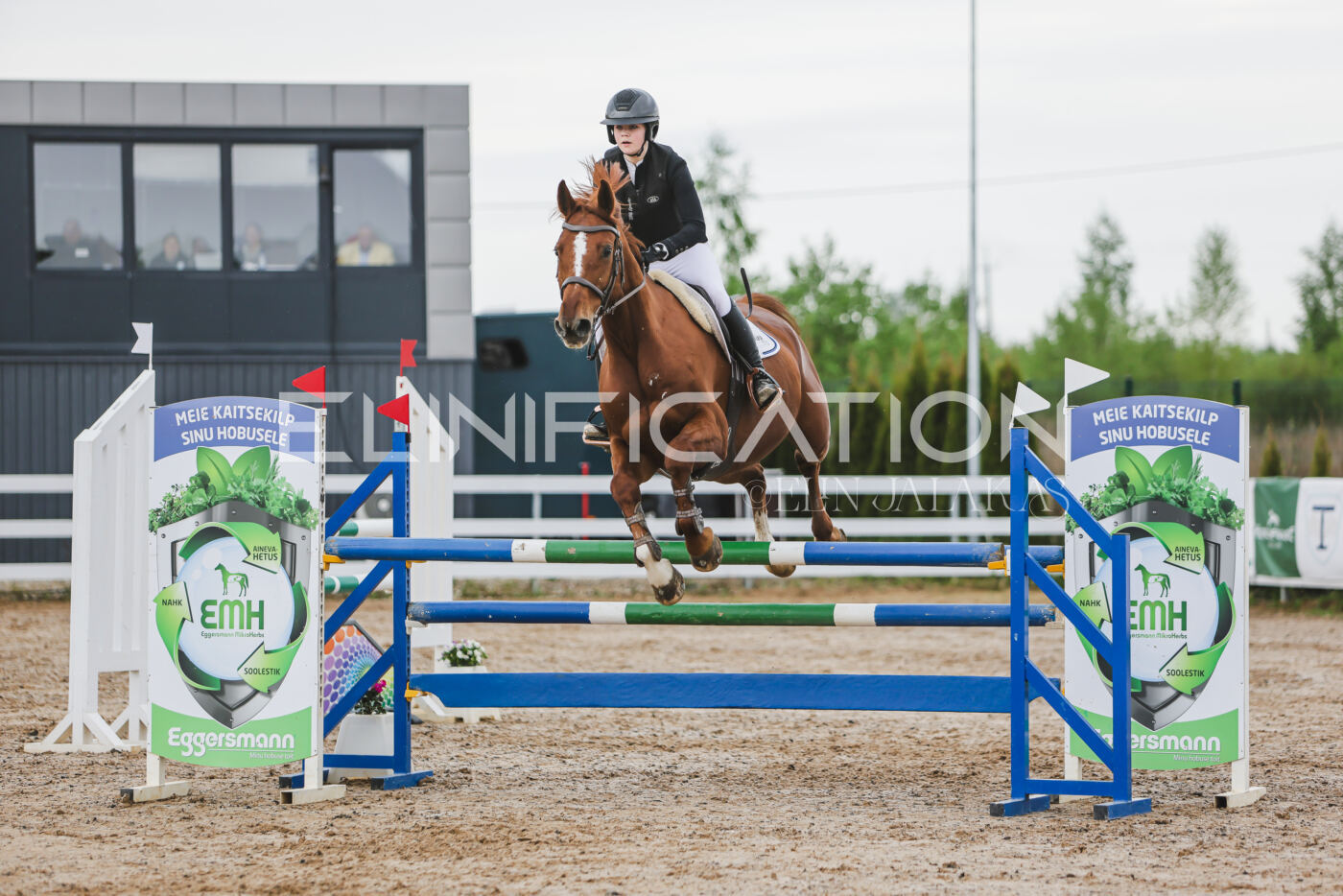 Gramina_Kevad_2026_115_176