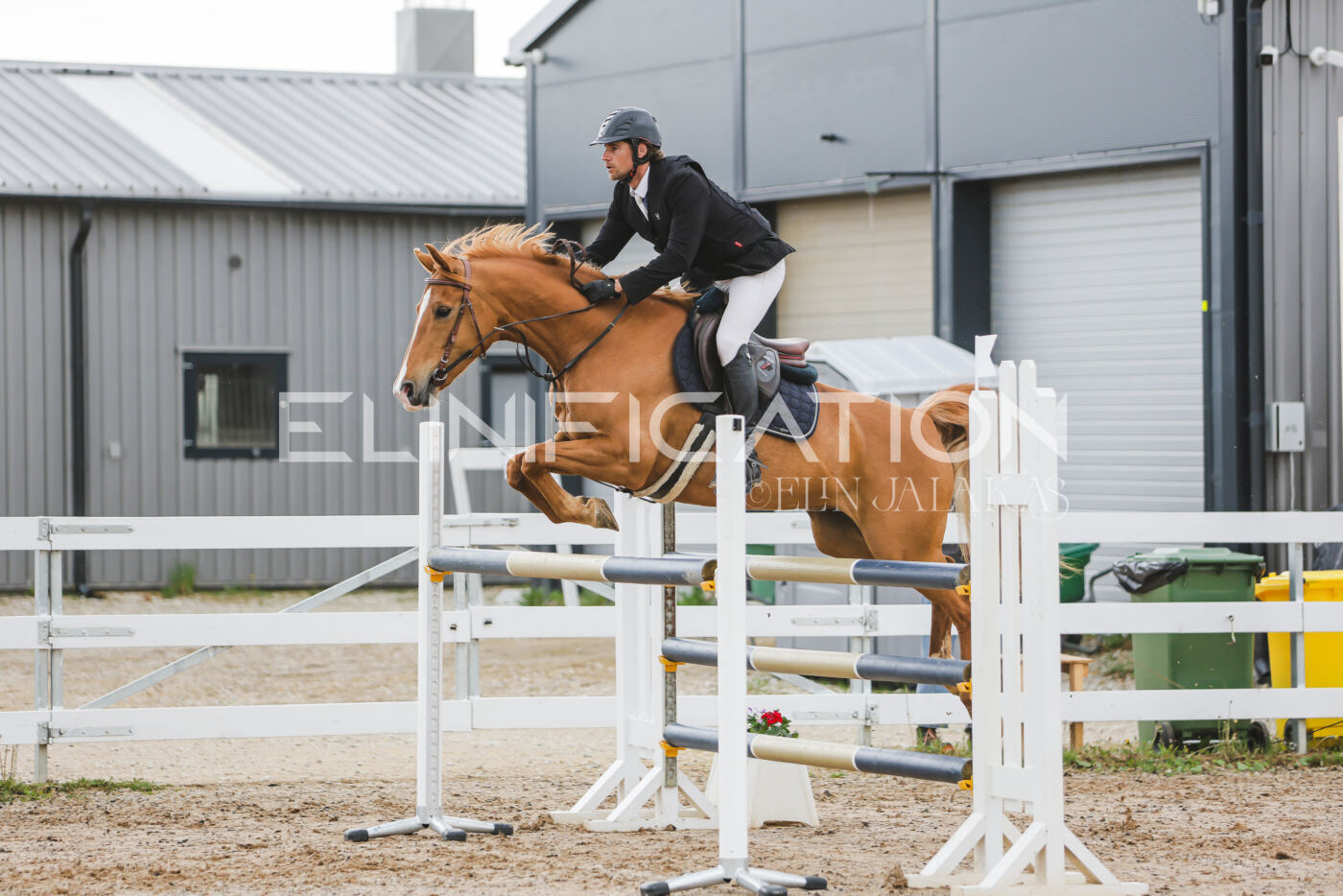 Gramina_Kevad_2026_115_181