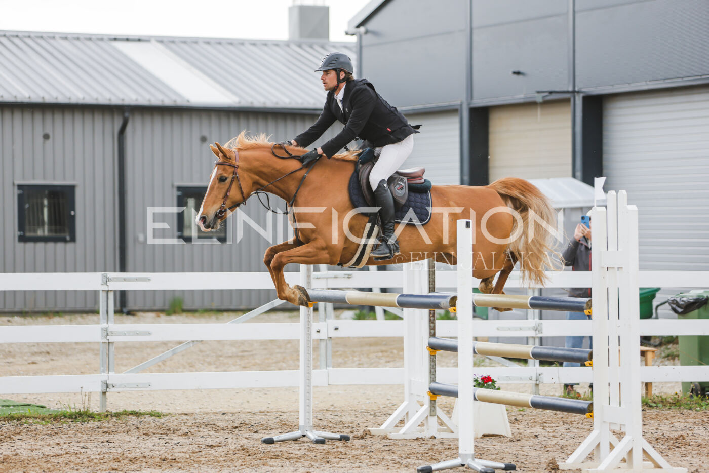 Gramina_Kevad_2026_115_183