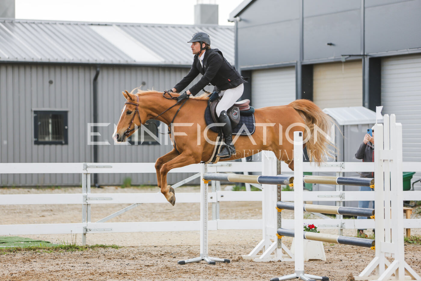 Gramina_Kevad_2026_115_184