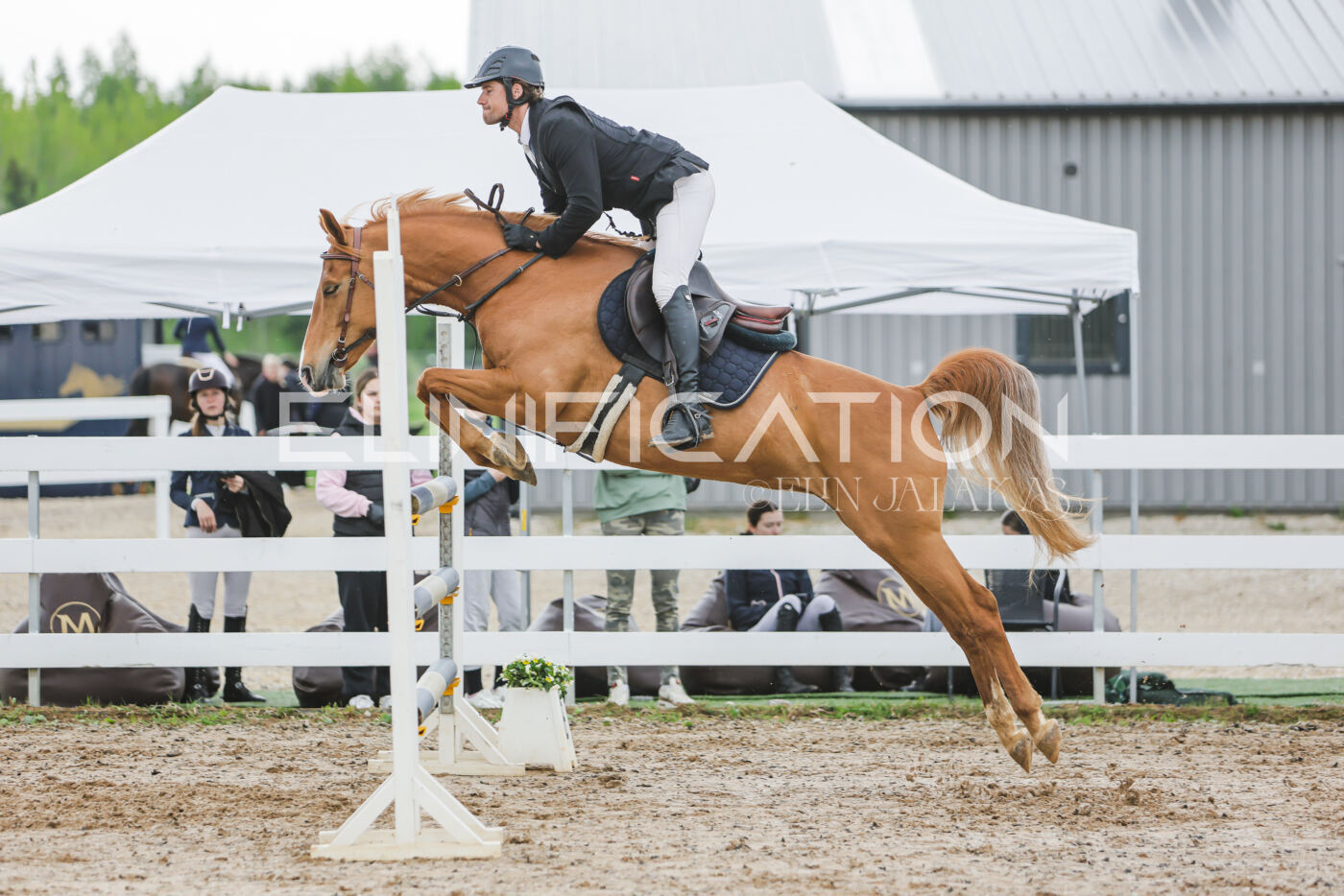 Gramina_Kevad_2026_115_185