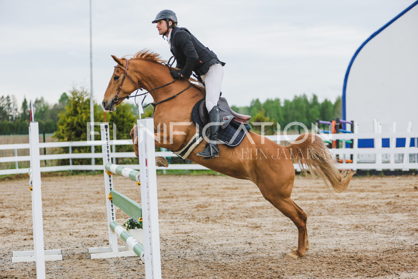 Gramina_Kevad_2026_115_188