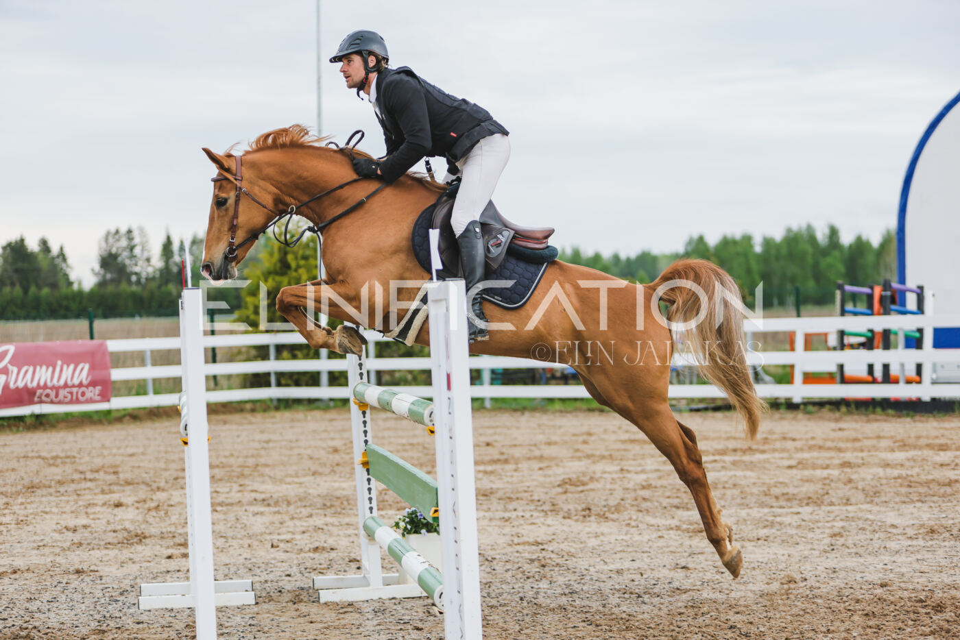 Gramina_Kevad_2026_115_189