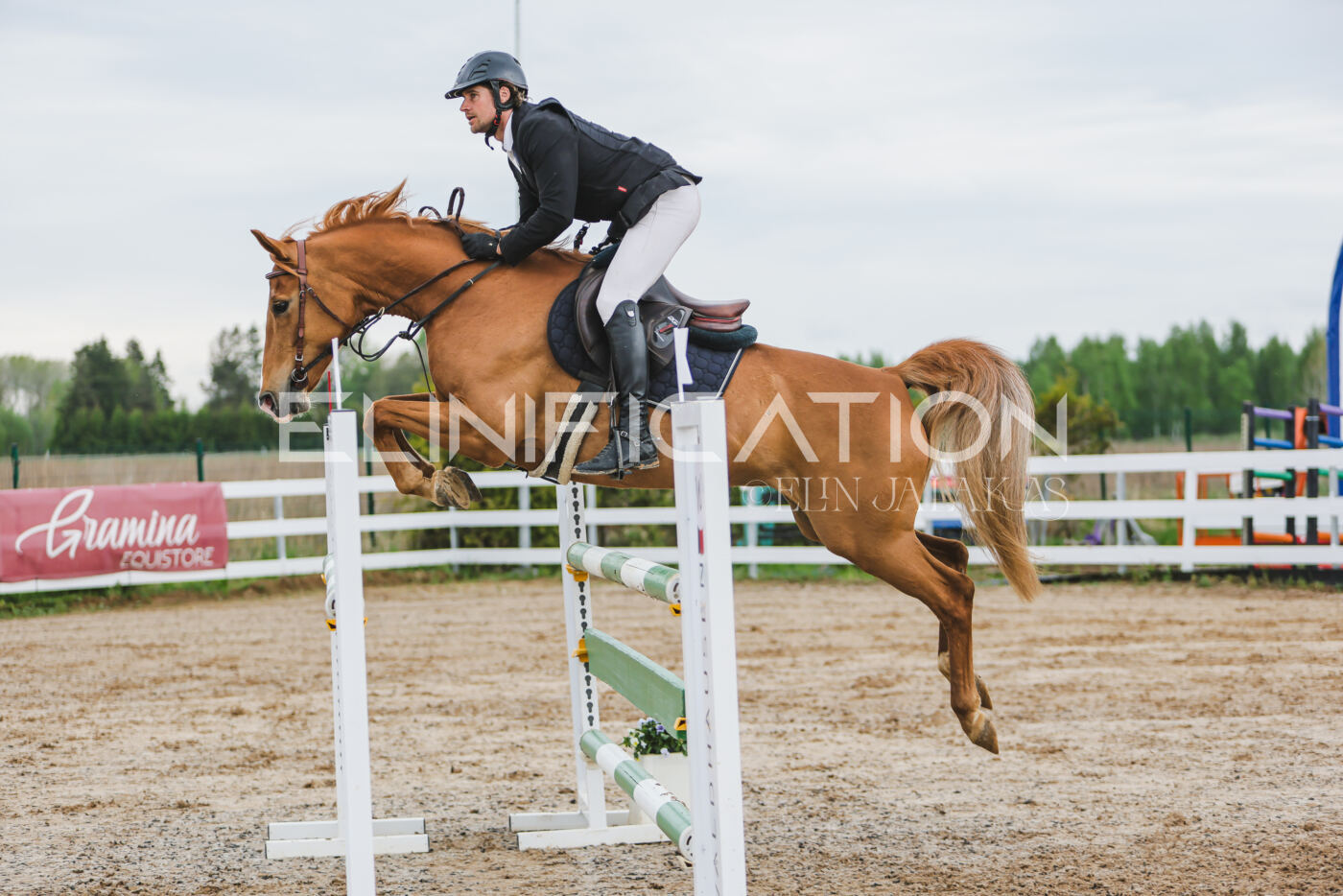 Gramina_Kevad_2026_115_190