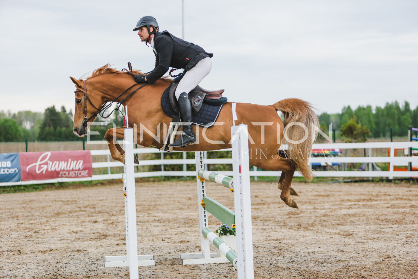 Gramina_Kevad_2026_115_191