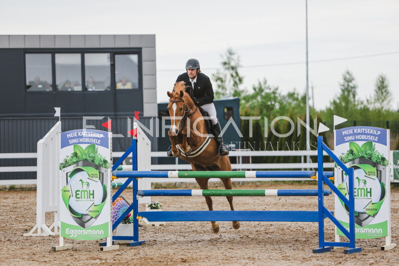 Gramina_Kevad_2026_115_192