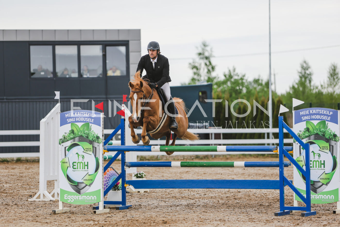 Gramina_Kevad_2026_115_195