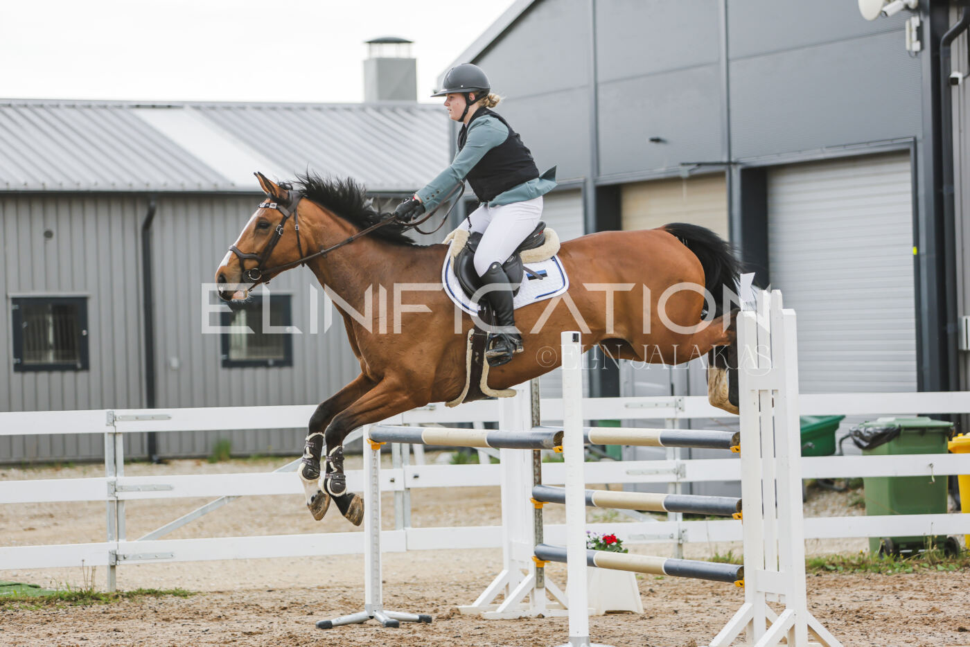 Gramina_Kevad_2026_115_205