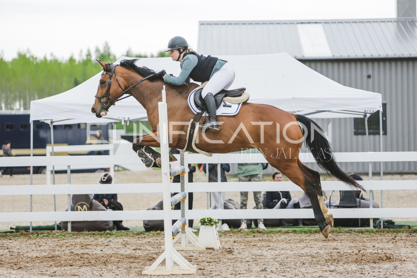 Gramina_Kevad_2026_115_207