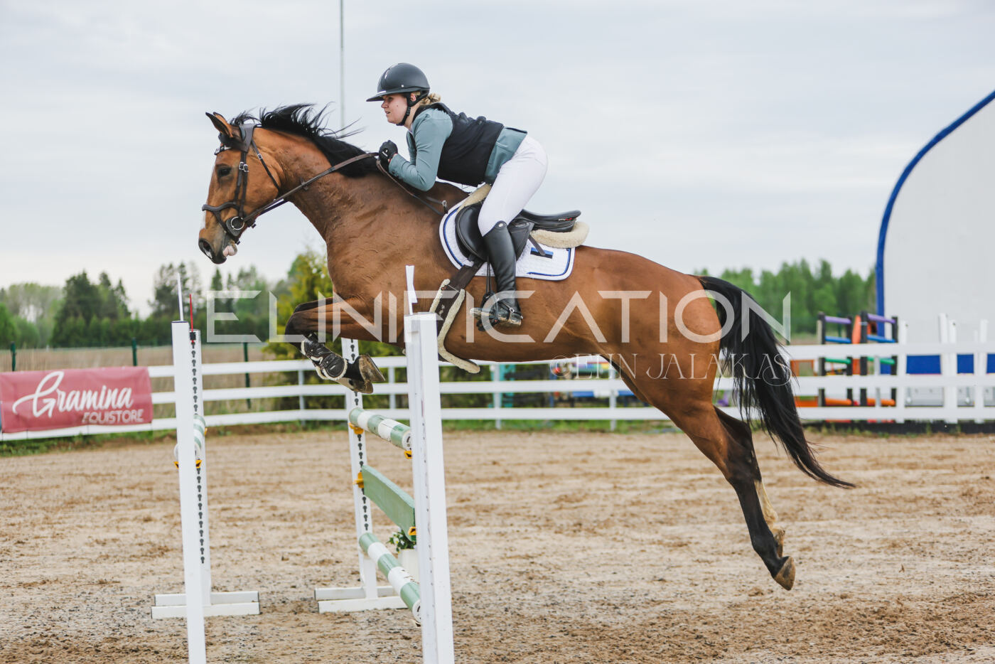 Gramina_Kevad_2026_115_209