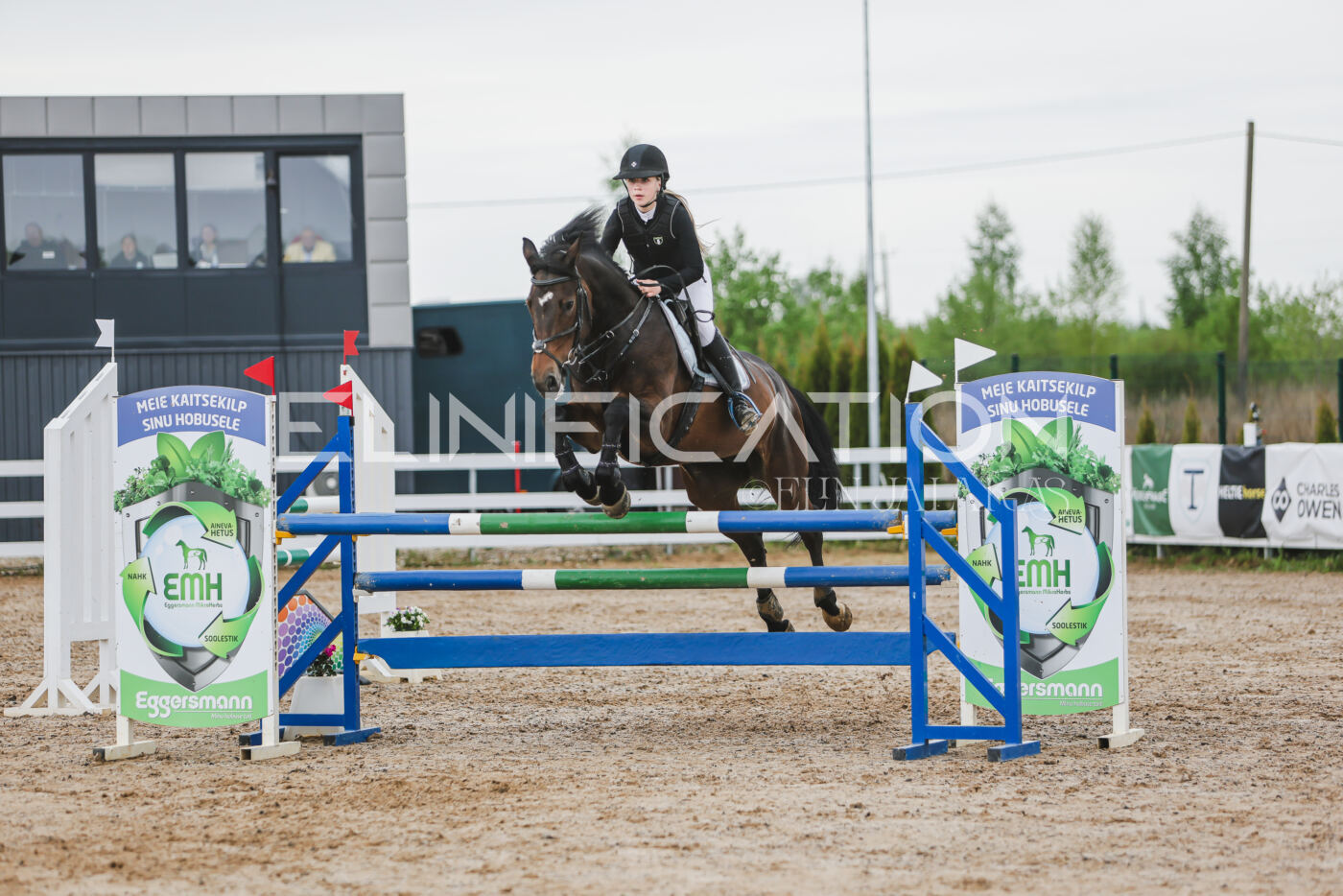 Gramina_Kevad_2026_115_229