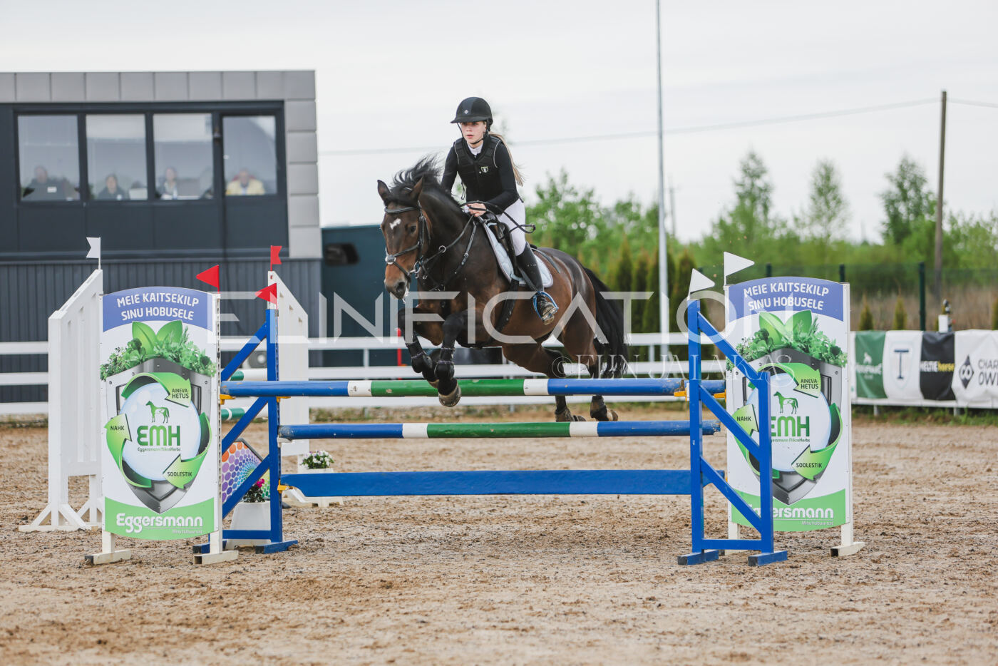 Gramina_Kevad_2026_115_230
