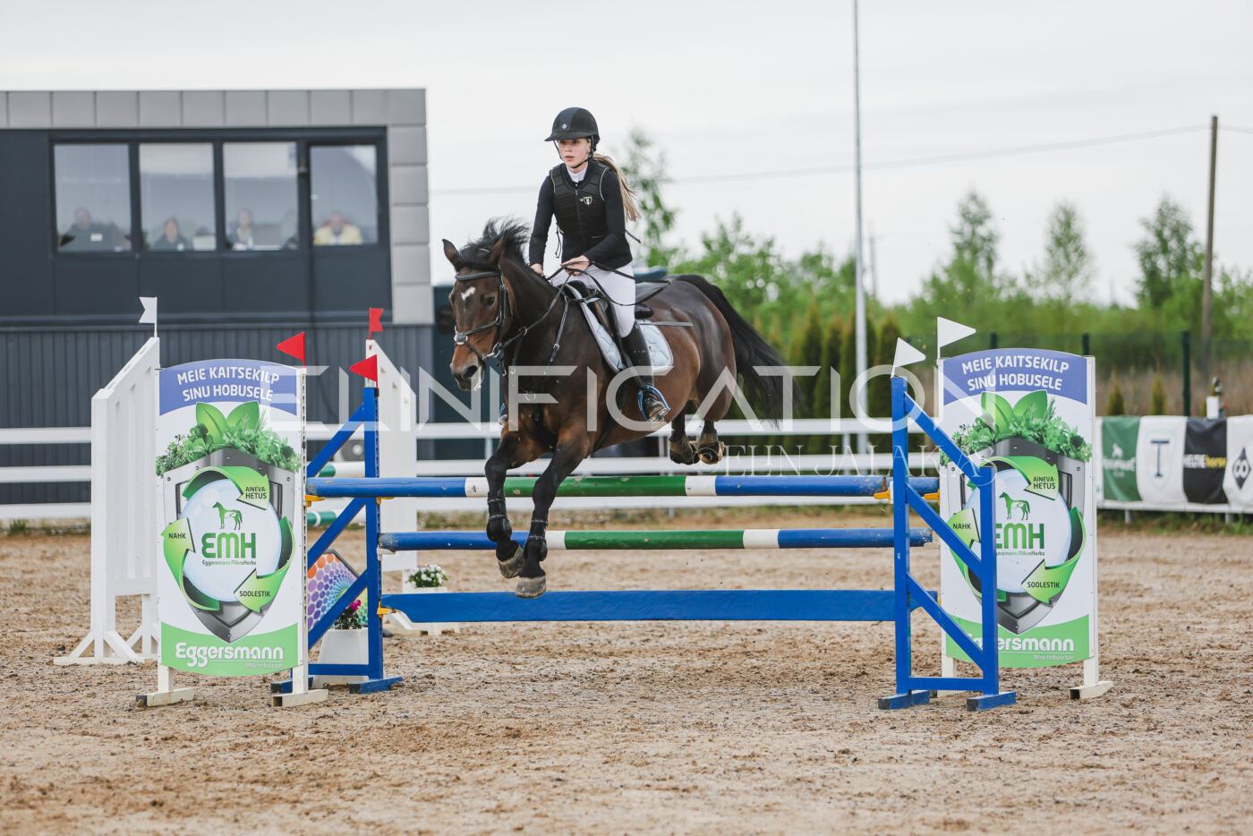 Gramina_Kevad_2026_115_232