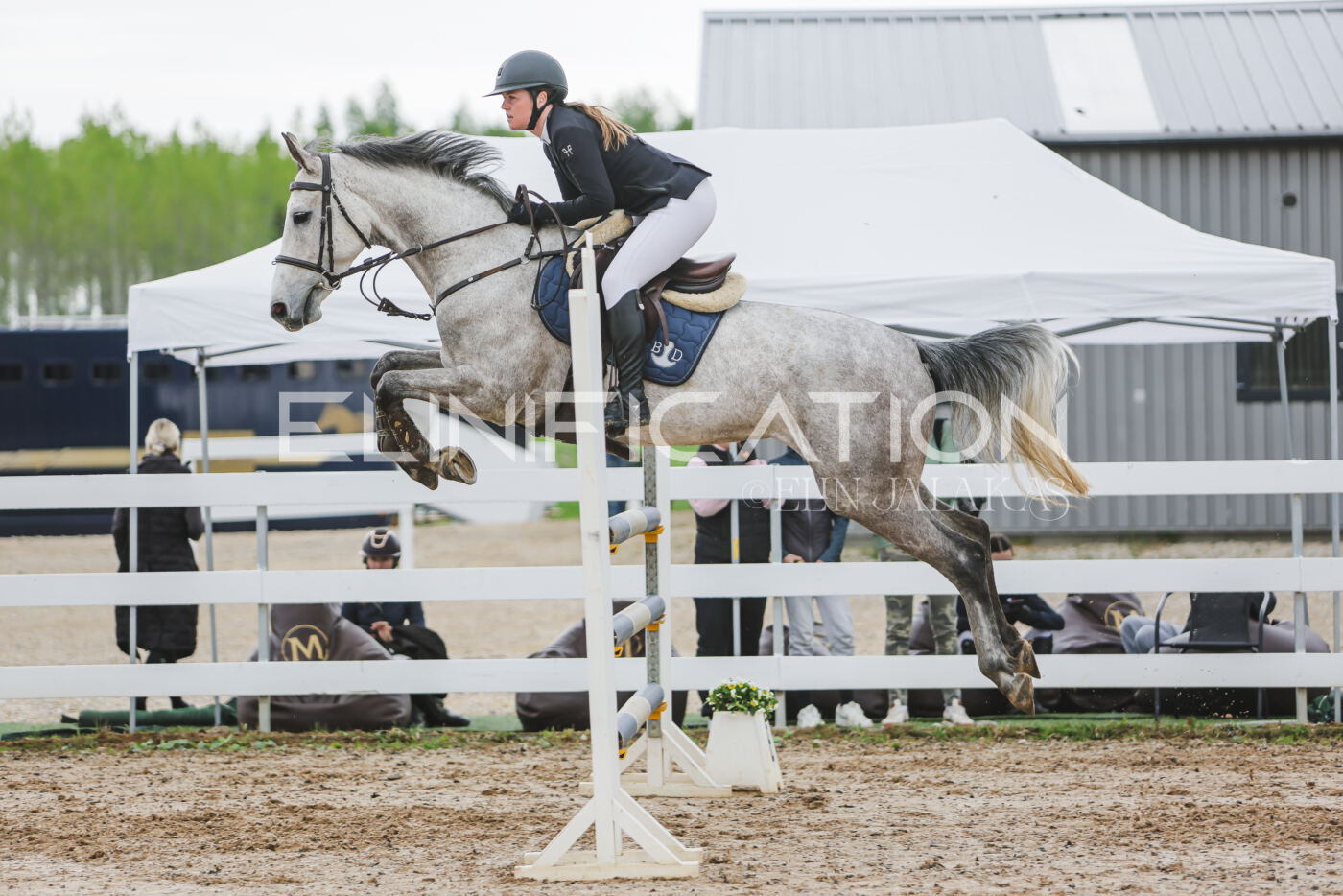Gramina_Kevad_2026_115_246