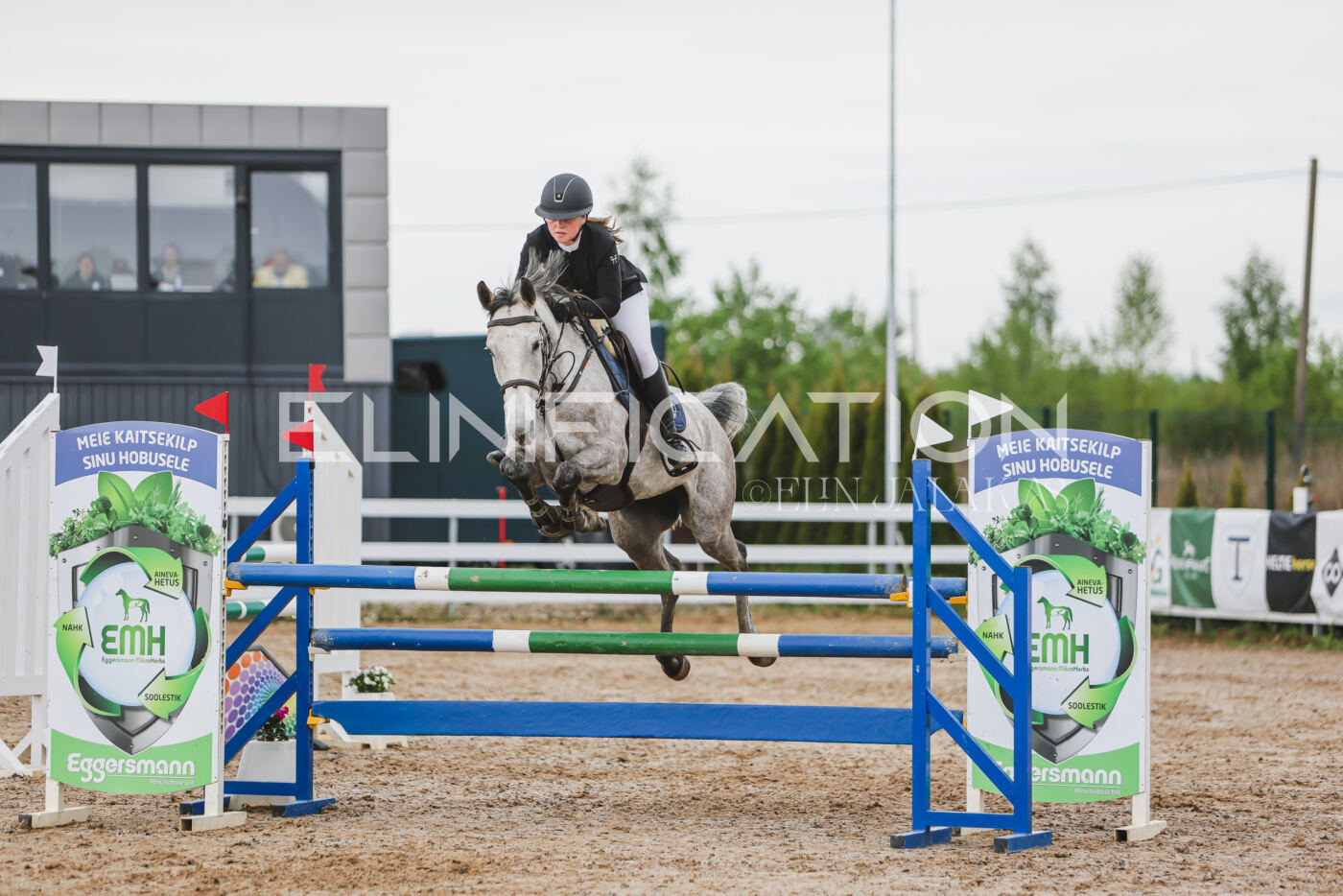 Gramina_Kevad_2026_115_250